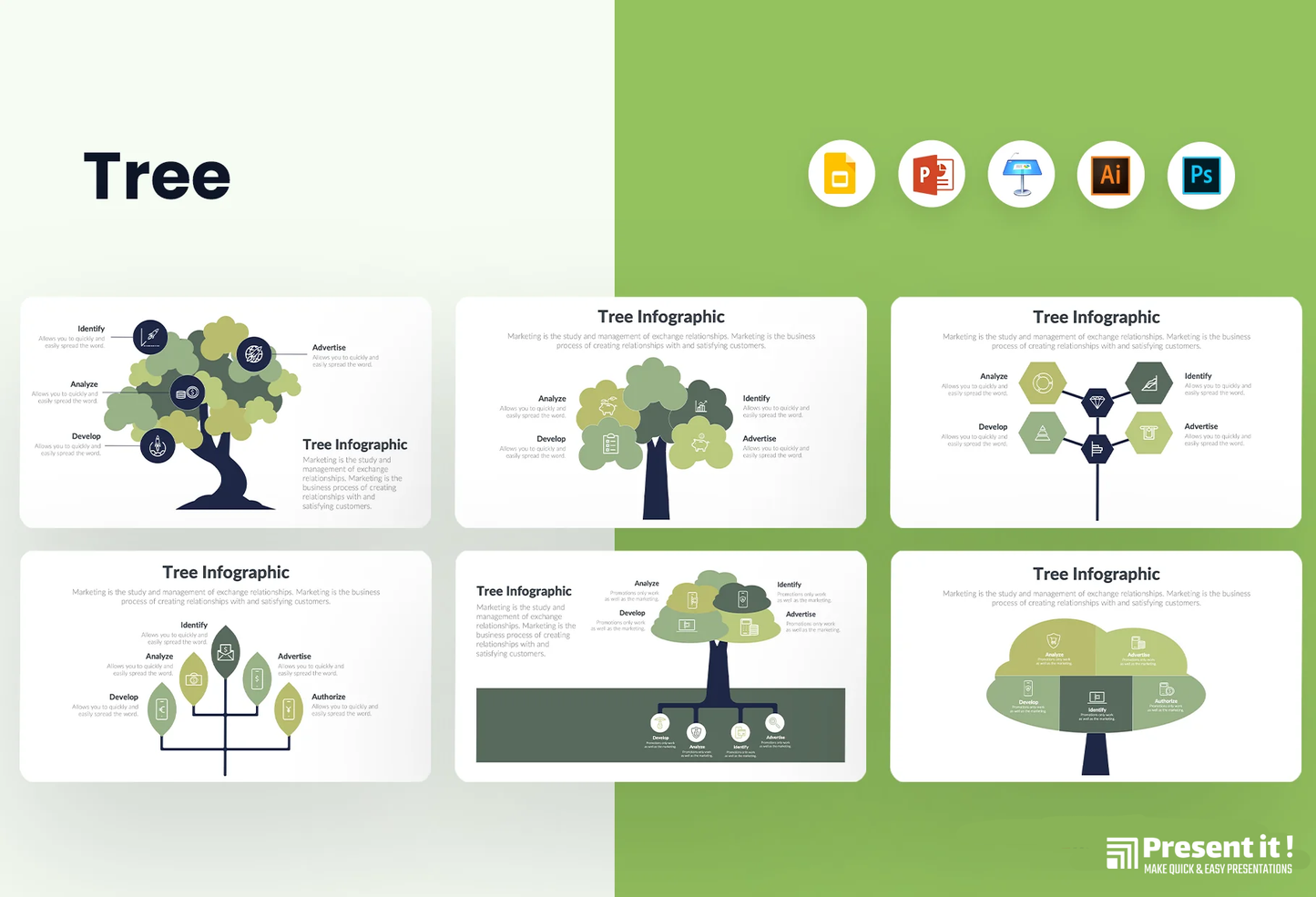 Tree Infographics