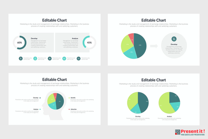 Pie Charts Infographics