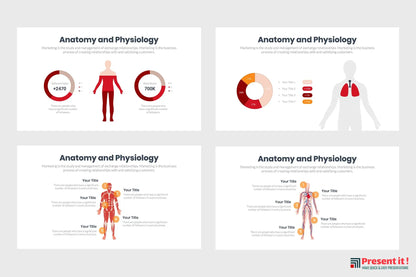 Anatomy and Physiology Infographics