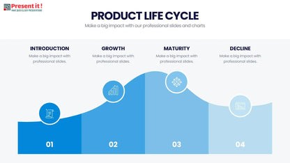 Product Life Cycle