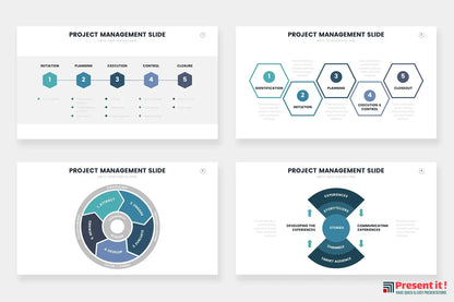 Project Management Infographics