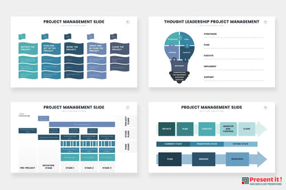 Project Management Infographics