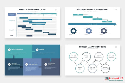 Project Management Infographics