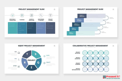 Project Management Infographics