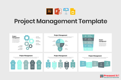 Project Management Infographics