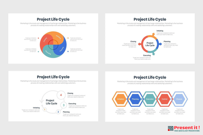 Project Life Cycle