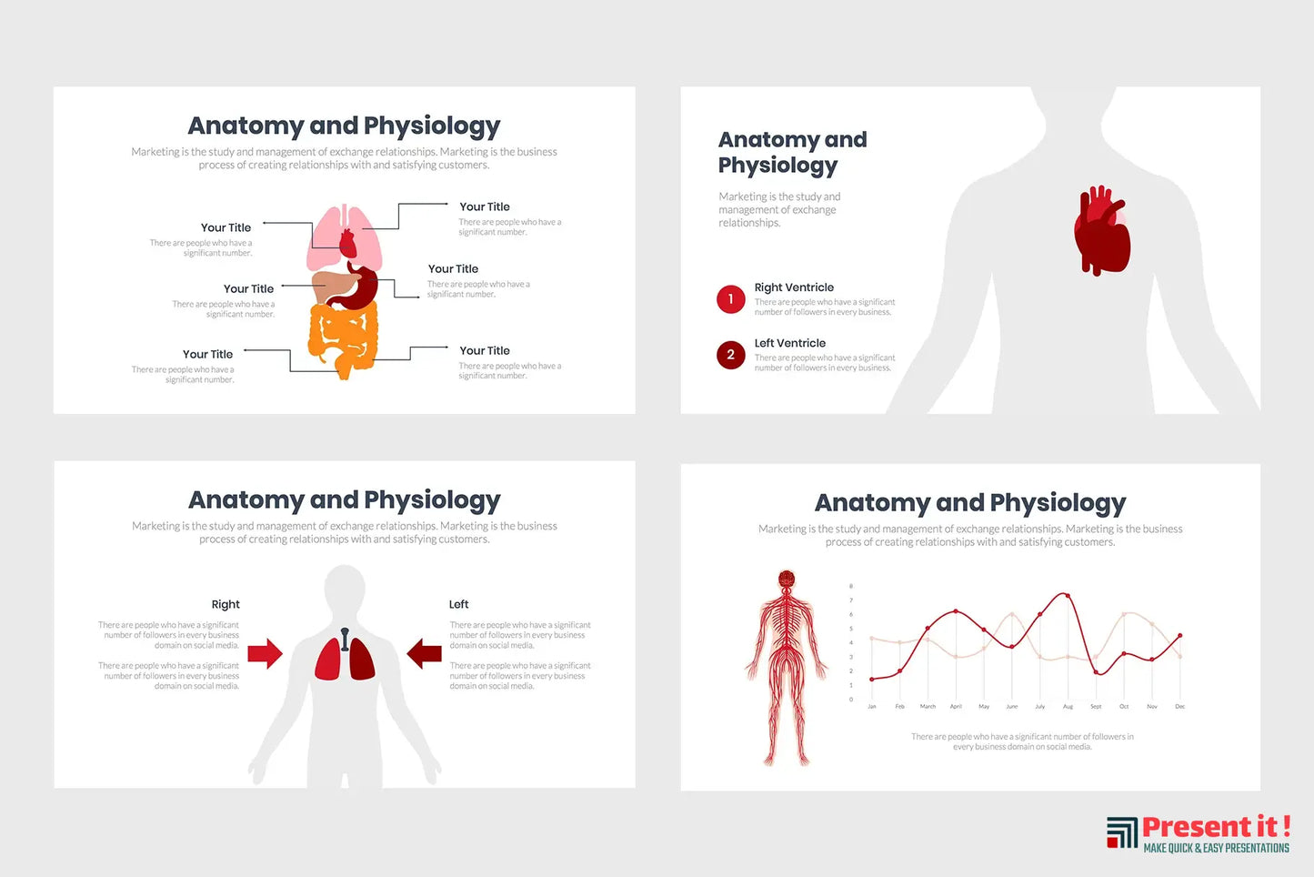 Anatomy and Physiology Infographics