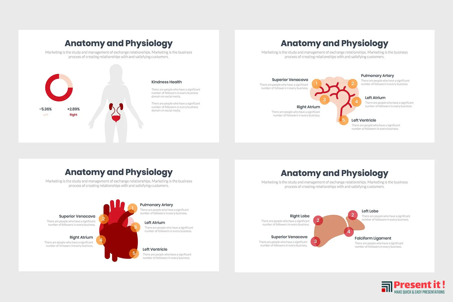 Anatomy and Physiology Infographics