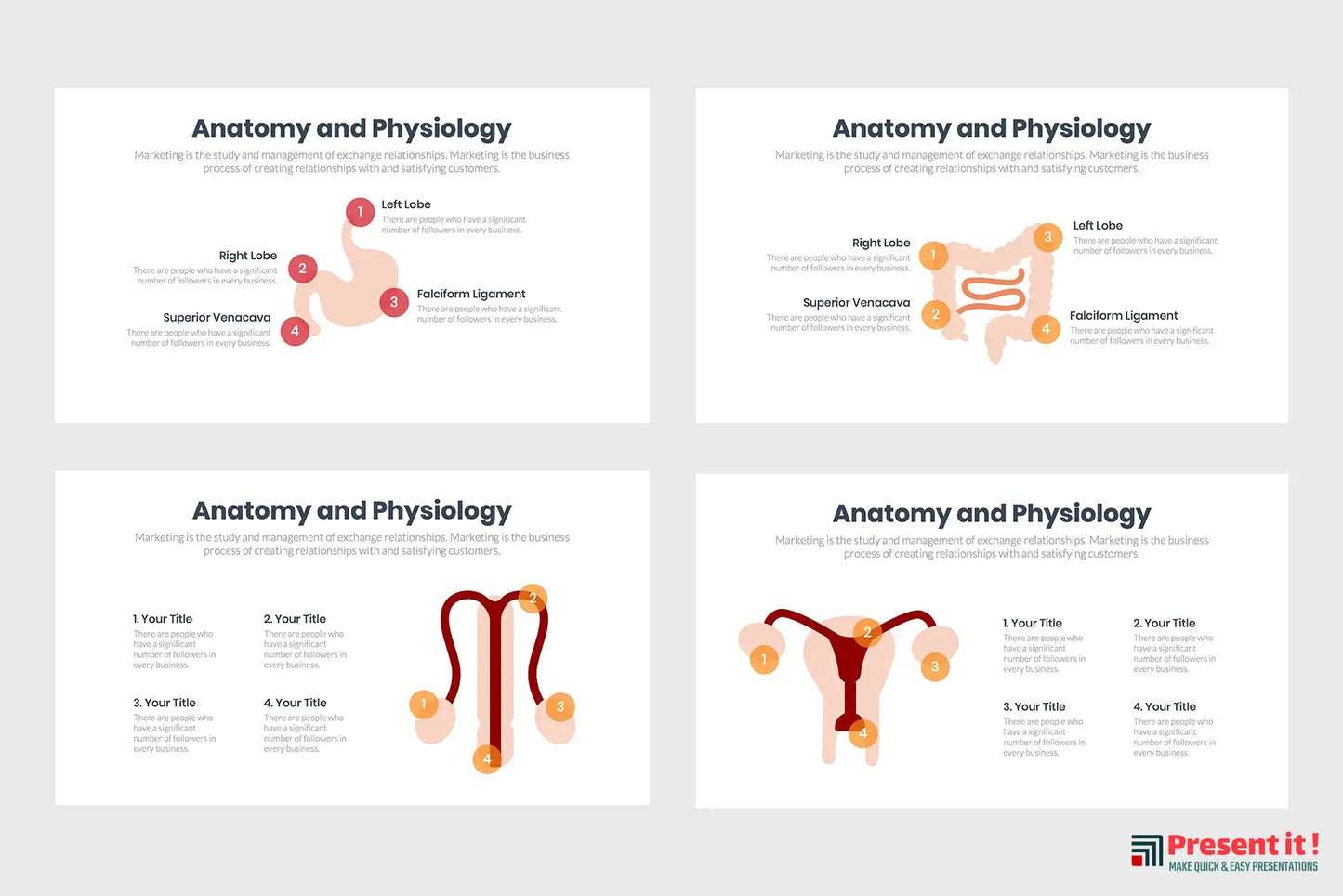 Anatomy and Physiology Infographics